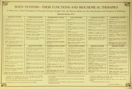 Body Systems their functions and biochemical therapies by Bernard Jensen