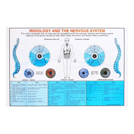 Iridology and Nervous System Chart 11x16