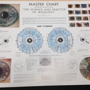Mini Master Chart Presenting Excerpts From The Science and Practice of Iridology