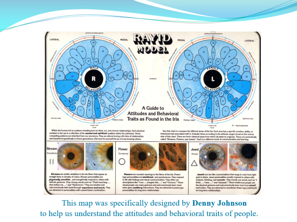 Using Iridology to Determine both Physical and Emotional Characteristics PPP 5 Rayid Model Chart Front side