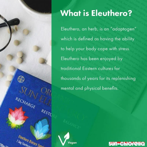 What is Eleuthero by Sun Chlorella 240 Tablets of Organic Sun