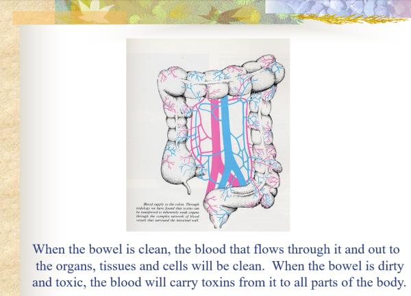 When the bowel is clean - Slide from Whole Body Cleansing Program Through Bowel Management CD-ROM PPP
