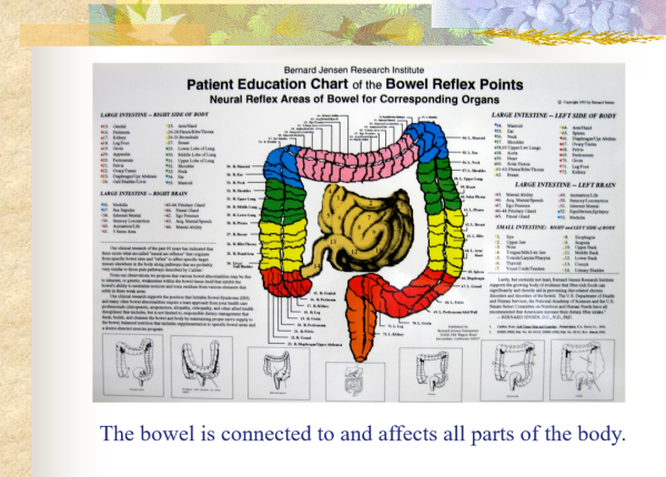 The bowel is connected to and affects all parts of the body- slide from Whole Body Cleansing Program Through Bowel Management CD-ROM PPP