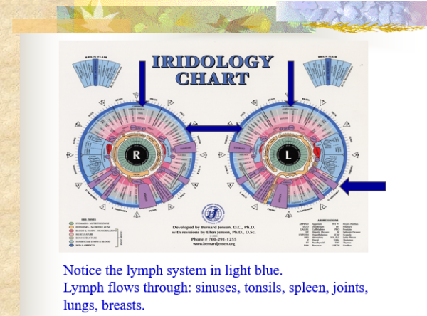 Slide from Iridology, Nutrition & Cleansing CD-ROM PPP - Iridology Chart -