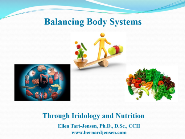 Primary Slide from Balancing Body Systems through Iridology & Nutrition ~ Booklet and CD-ROM