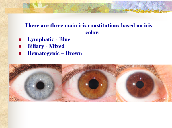 Three Main Iris Constitutions based on Iris Color Iris Constitutions & Remedial Therapies ~ CD-ROM PPP