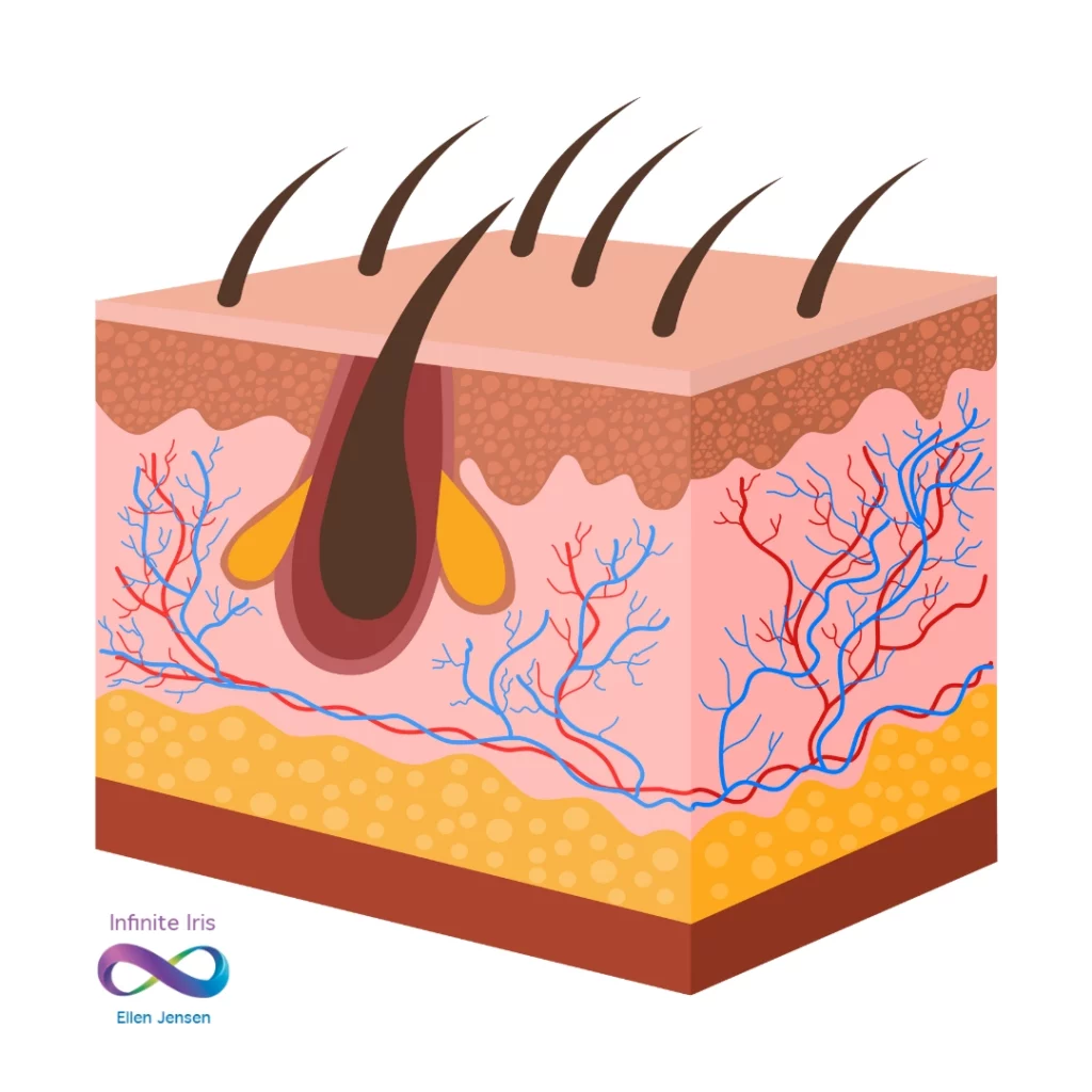 The Power of Skin Brushing | Removes dead skin cells