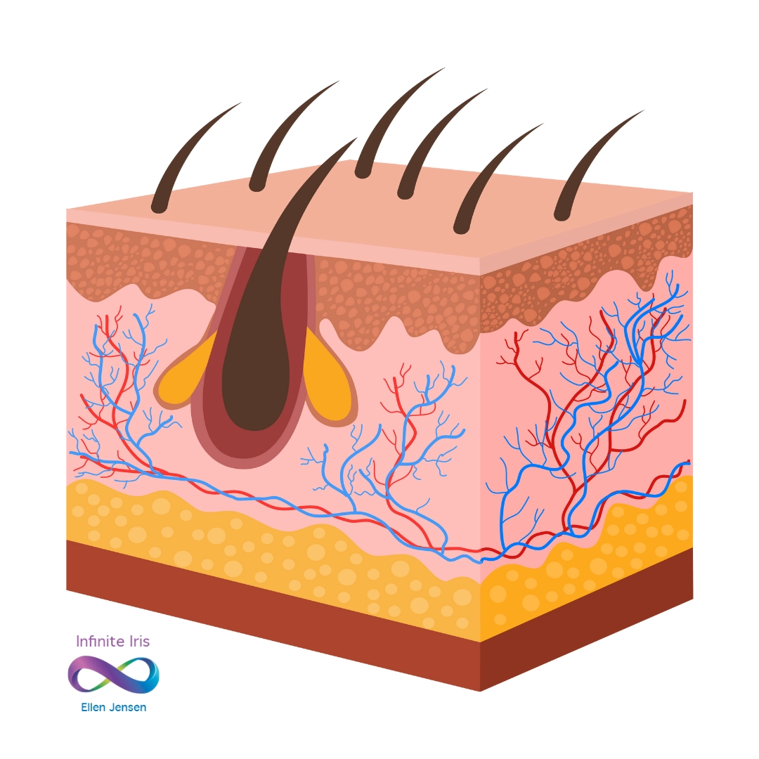 Improve skin The Power of Skin Brushing | Removes dead skin cells<br />