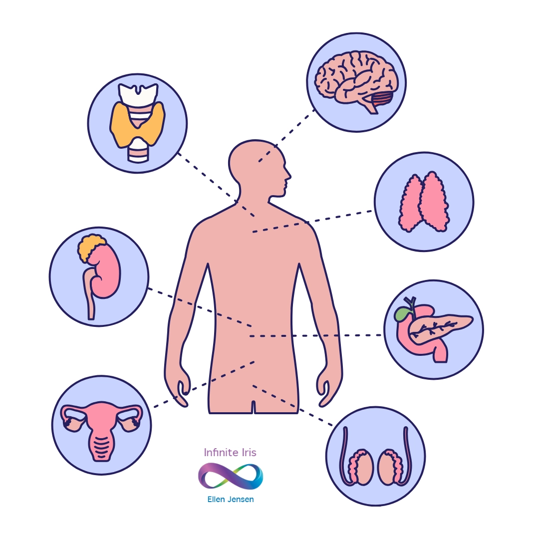 Lymphatic system The Power of Skin Brushing |Stimulates the lymphatic system<br />